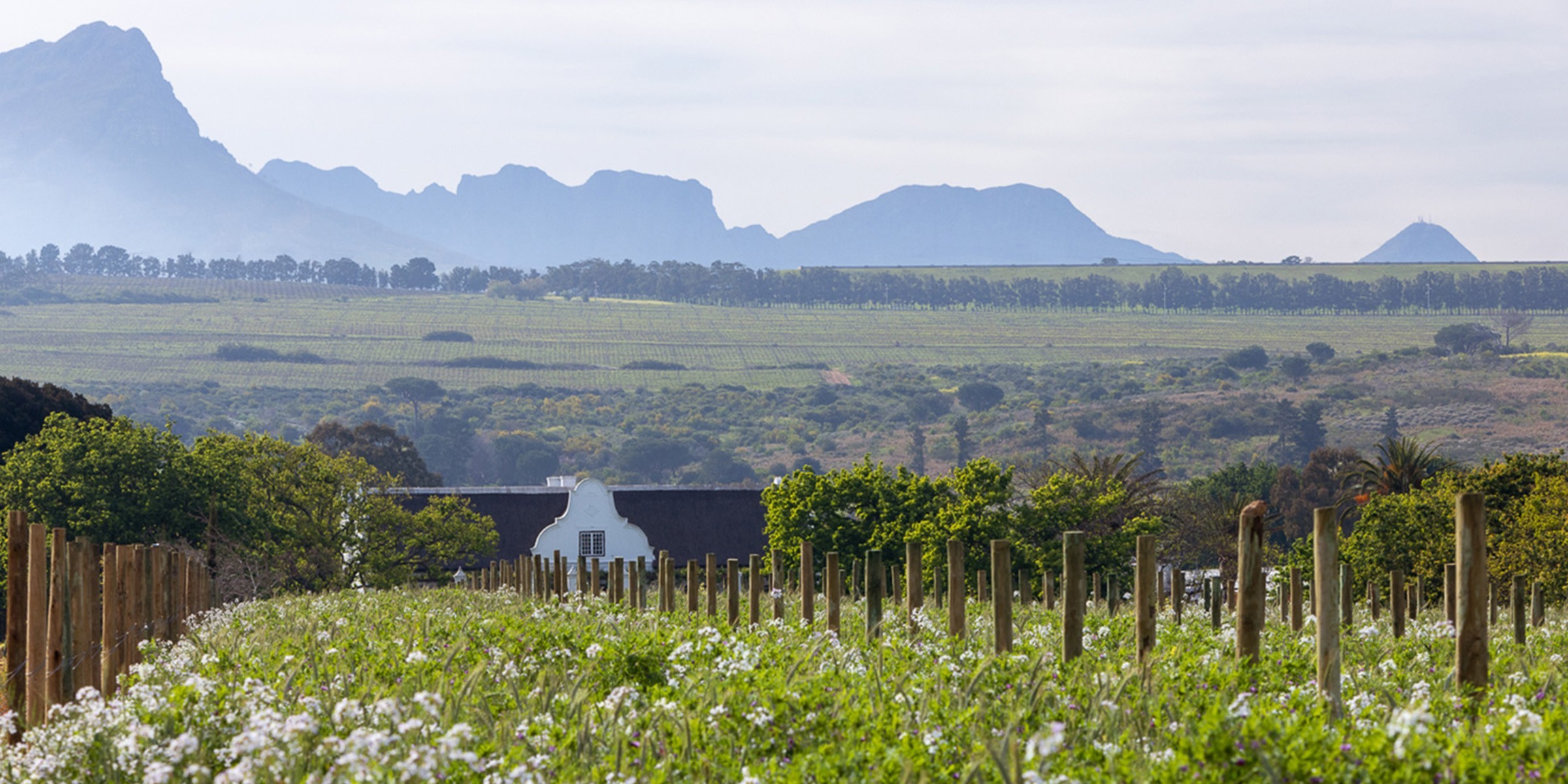 Meerlust Estate 