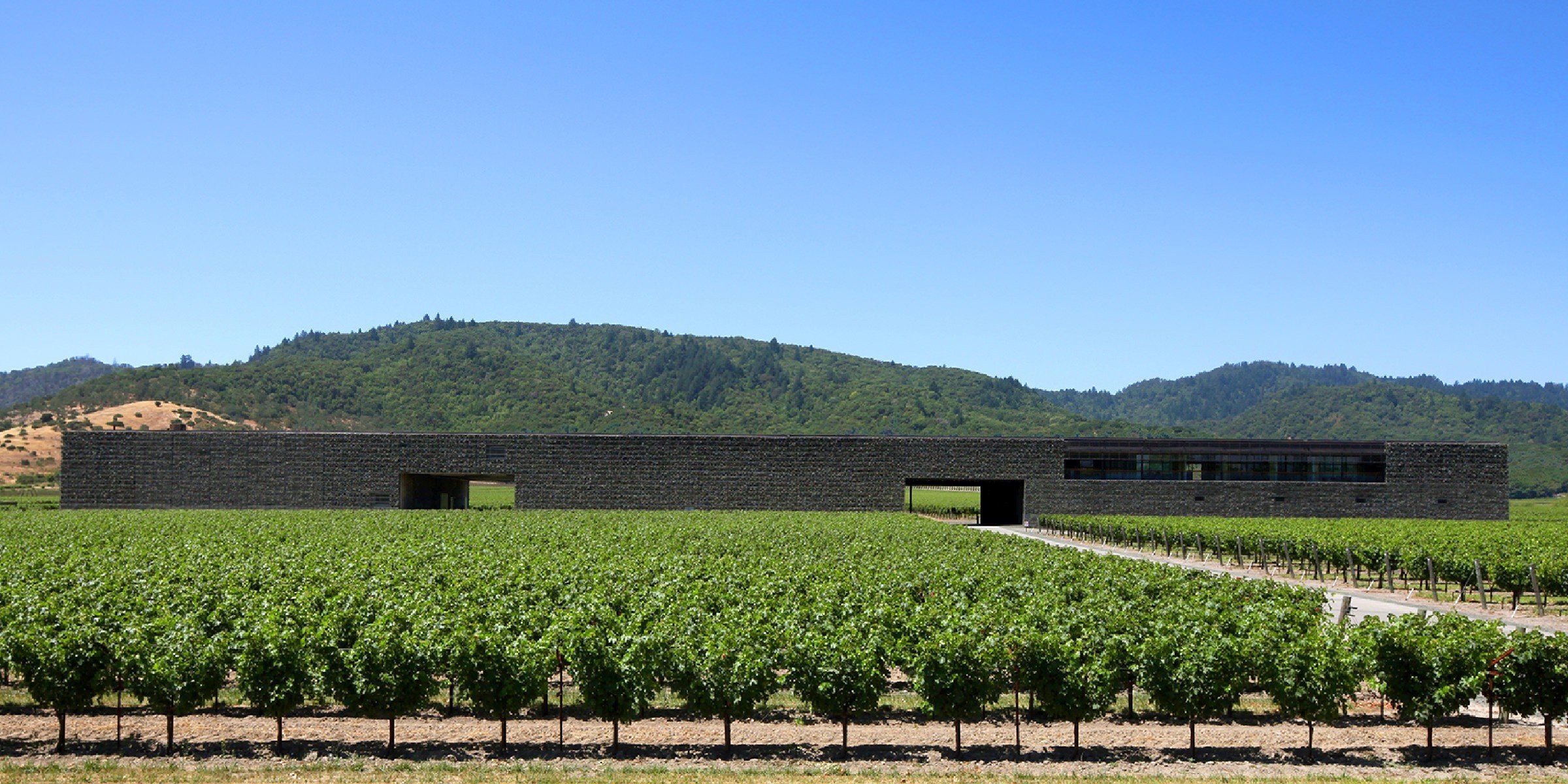 Dominus Estate