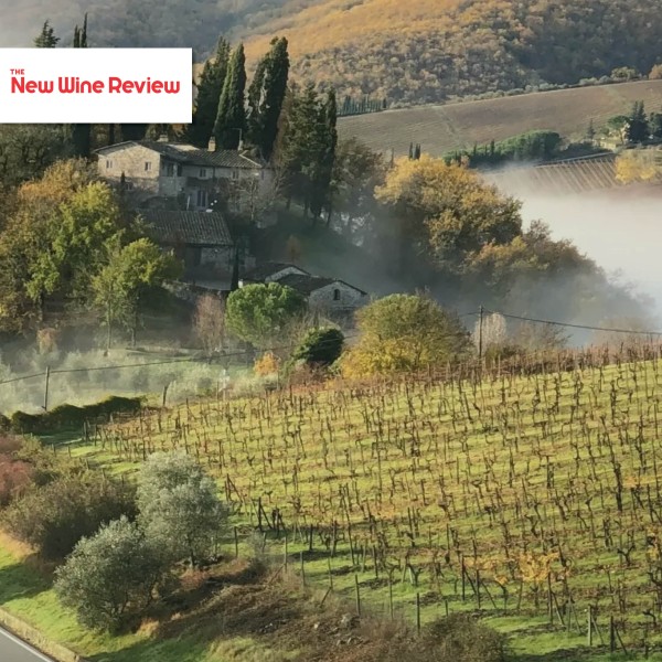 Read Why Chianti Classico is Finally Changing (And What it all Means)
